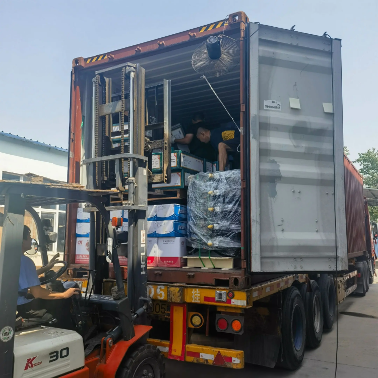 O le SOOCY HICK SPAND vaega - Avetaavale faigofie, talitonuina i soo se mea!